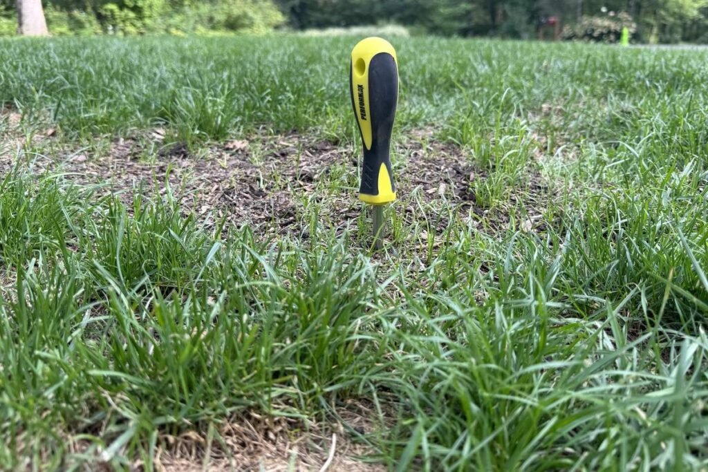 Screwdriver pushed into moist lawn soil, buried nearly to the handle