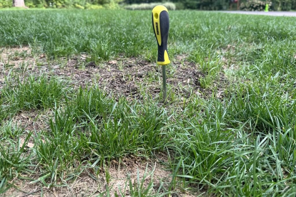 Screwdriver in dry compacted soil, stopping well short with the shaft exposed